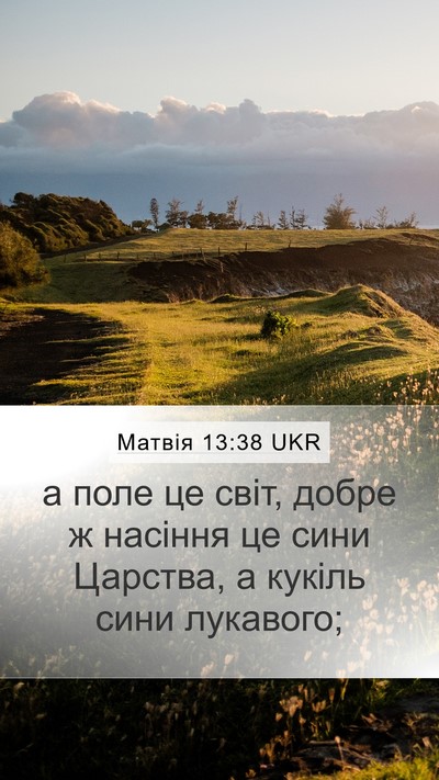 Матвія 13:38 UKR Bible Verse Image