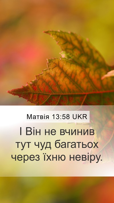 Матвія 13:58 UKR Bible Verse Image