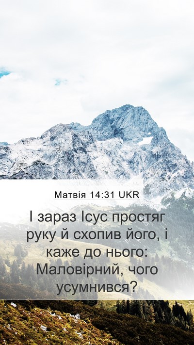 Матвія 14:31 UKR Bible Verse Image