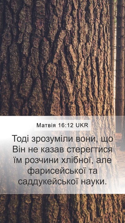 Матвія 16:12 UKR Bible Verse Image