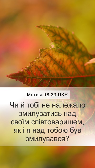 Матвія 18:33 UKR Bible Verse Image