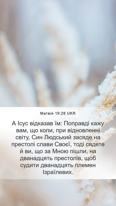 Матвія 19:28 UKR Bible Verse Image
