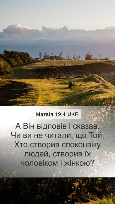Матвія 19:4 UKR Bible Verse Image