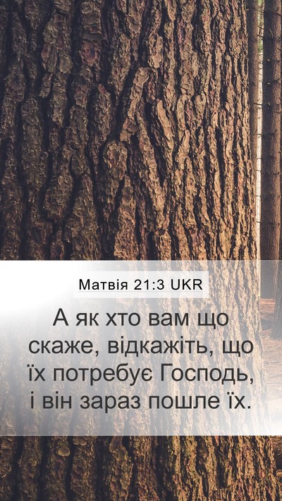 Матвія 21:3 UKR Bible Verse Image