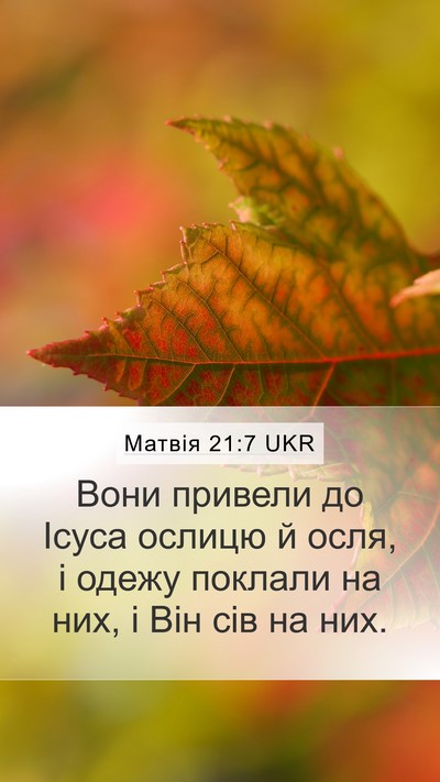 Матвія 21:7 UKR Mobile Phone Wallpaper - Вони привели до Ісуса - Mobile Bible Verse Wallpaper