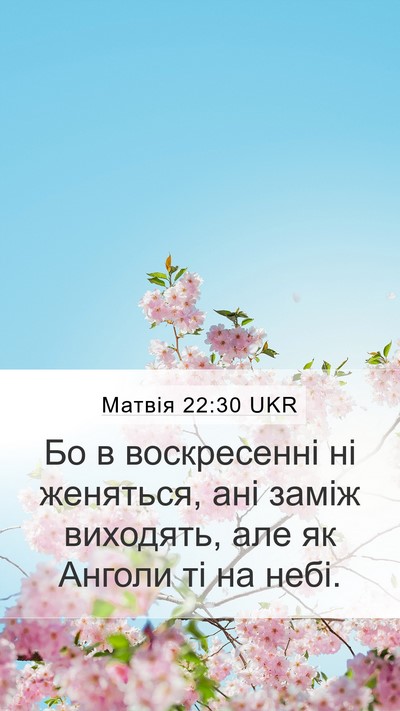 Матвія 22:30 UKR Bible Verse Image