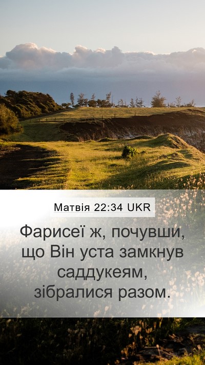 Матвія 22:34 UKR Bible Verse Image