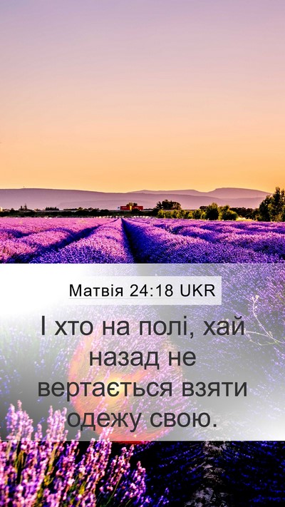 Матвія 24:18 UKR Mobile Phone Wallpaper - І хто на полі, хай назад не - Mobile Bible Verse Wallpaper