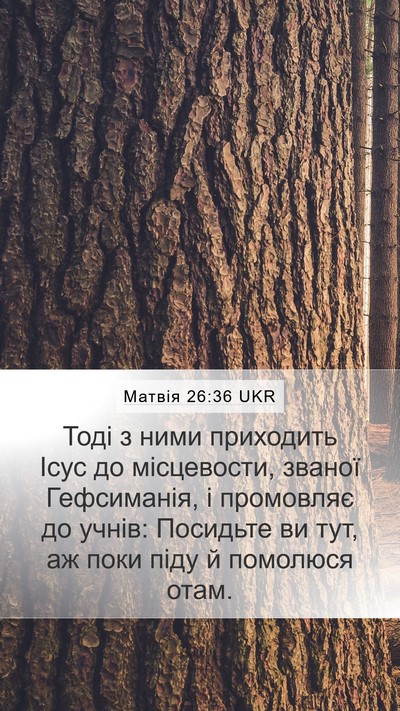 Матвія 26:36 UKR Bible Verse Image
