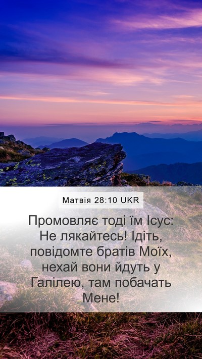 Матвія 28:10 UKR Bible Verse Image