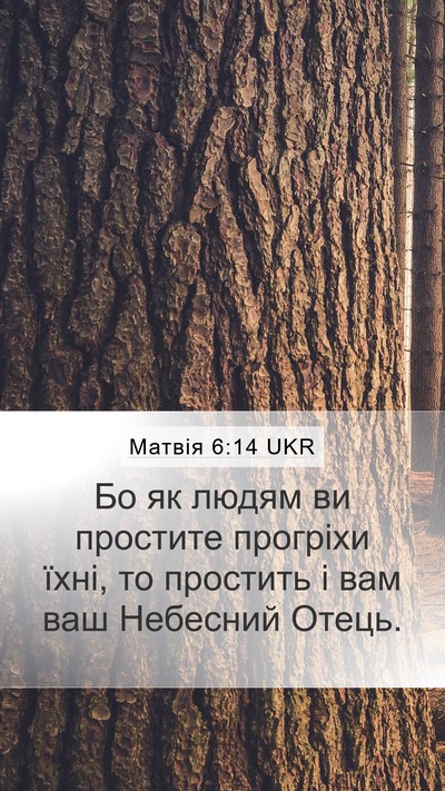 Матвія 6:14 UKR Bible Verse Image
