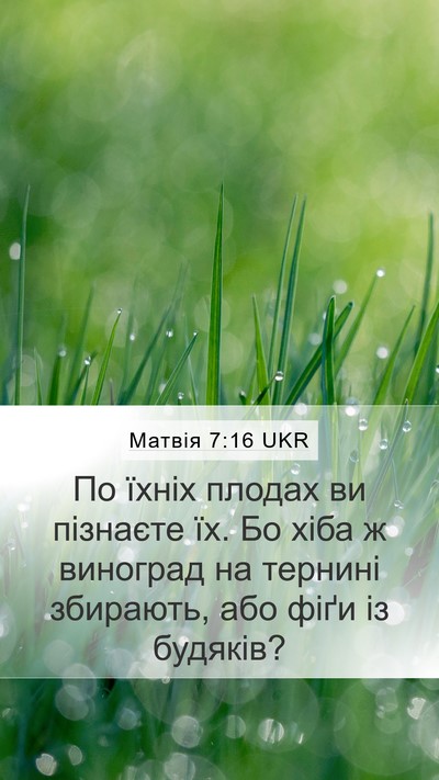 Матвія 7:16 UKR Bible Verse Image