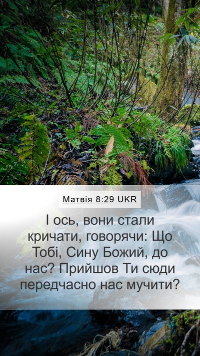 Матвія 8:29 UKR Bible Verse Image