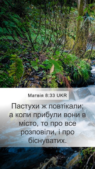 Матвія 8:33 UKR Bible Verse Image