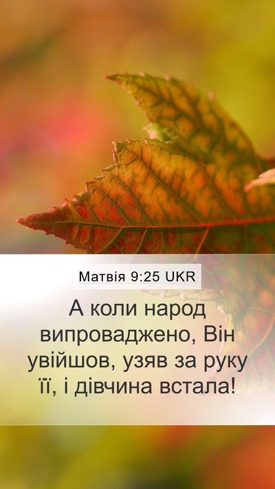 Матвія 9:25 UKR Bible Verse Image