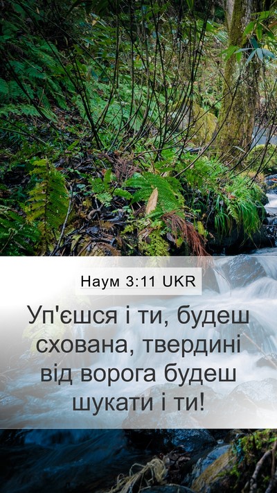 Наум 3:11 UKR Bible Verse Image