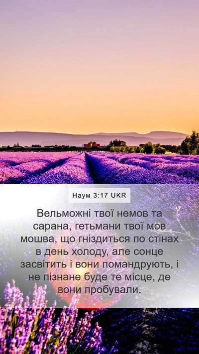 Наум 3:17 UKR Bible Verse Image