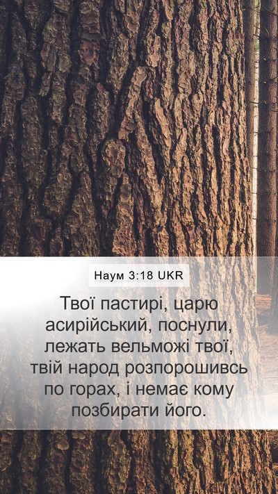 Наум 3:18 UKR Bible Verse Image