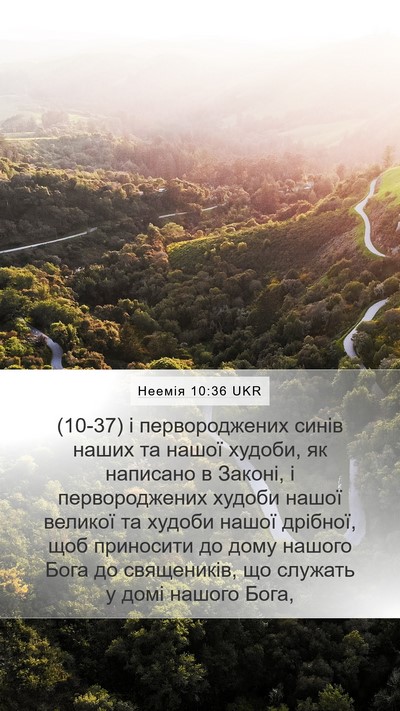 Неемія 10:36 UKR Mobile Phone Wallpaper - (10-37) і первороджених синів - Mobile Bible Verse Wallpaper