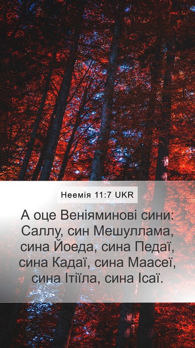 Неемія 11:7 UKR Bible Verse Image