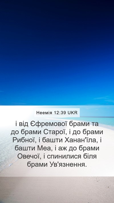 Неемія 12:39 UKR Bible Verse Image