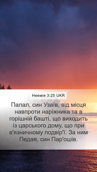 Неемія 3:25 UKR Bible Verse Image