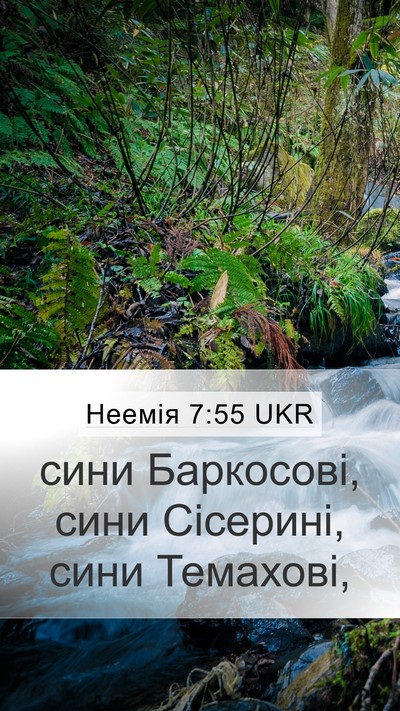 Неемія 7:55 UKR Mobile Phone Wallpaper - сини Баркосові, сини - Mobile Bible Verse Wallpaper