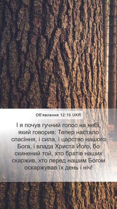 Об'явлення 12:10 UKR Bible Verse Image