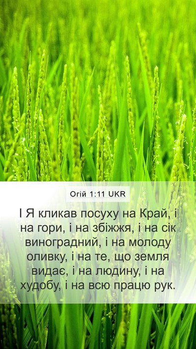 Огій 1:11 UKR Bible Verse Image