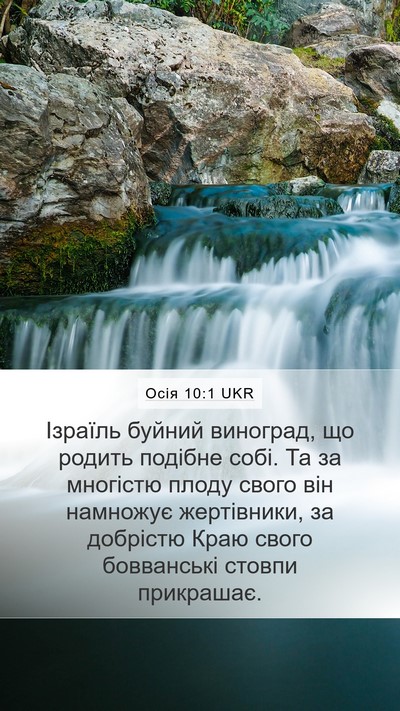 Осія 10:1 UKR Bible Verse Image