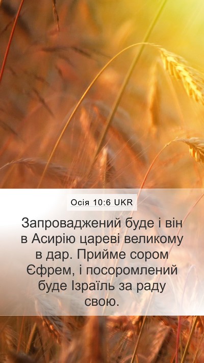 Осія 10:6 UKR Bible Verse Image