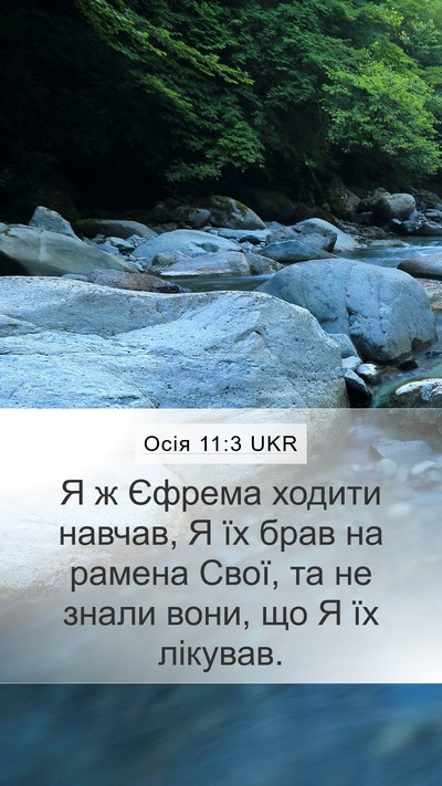 Осія 11:3 UKR Mobile Phone Wallpaper - Я ж Єфрема ходити навчав, Я - Mobile Bible Verse Wallpaper