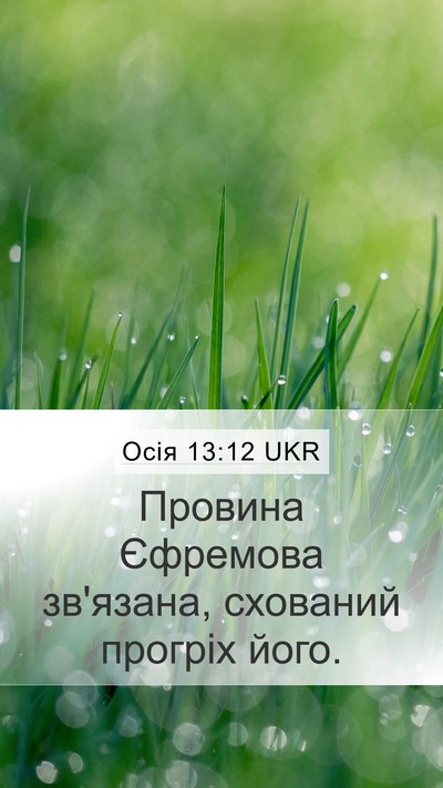 Осія 13:12 UKR Bible Verse Image