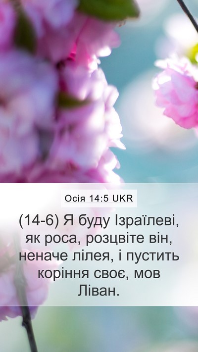 Осія 14:5 UKR Bible Verse Image