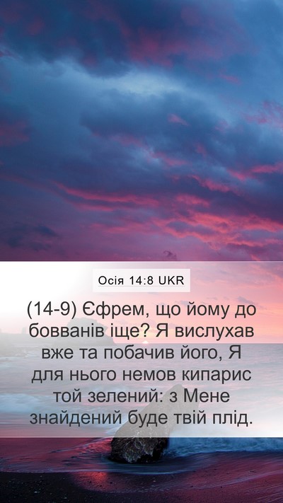 Осія 14:8 UKR Bible Verse Image