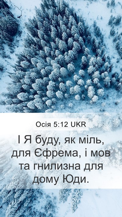 Осія 5:12 UKR Mobile Phone Wallpaper - І Я буду, як міль, для - Mobile Bible Verse Wallpaper