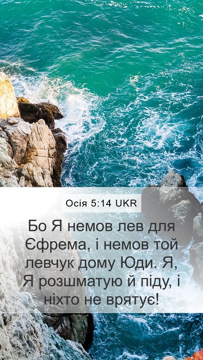 Осія 5:14 UKR Bible Verse Image