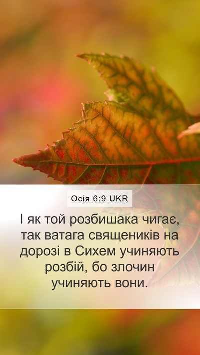 Осія 6:9 UKR Bible Verse Image