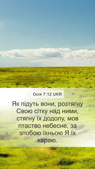 Осія 7:12 UKR Bible Verse Image