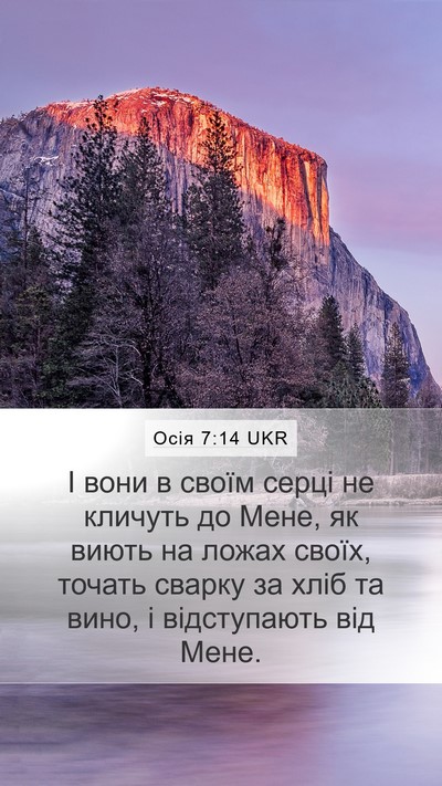 Осія 7:14 UKR Bible Verse Image