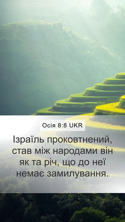 Осія 8:8 UKR Bible Verse Image