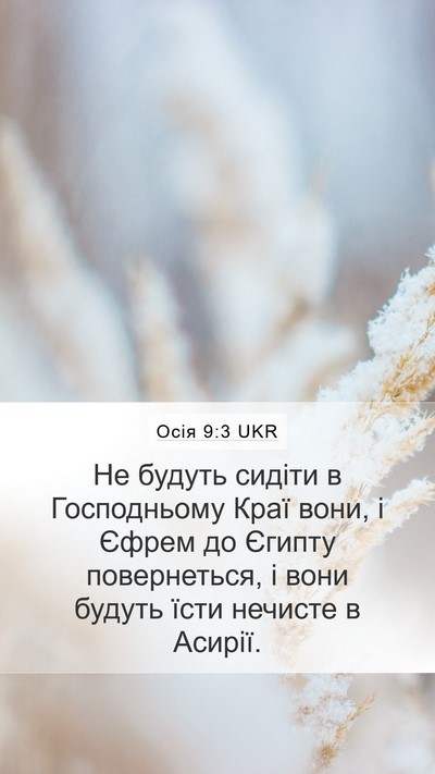 Осія 9:3 UKR Bible Verse Image