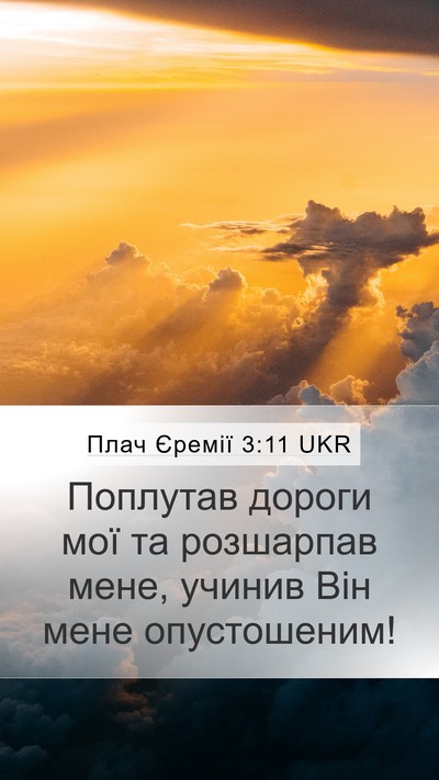 Плач Єремії 3:11 UKR Bible Verse Image