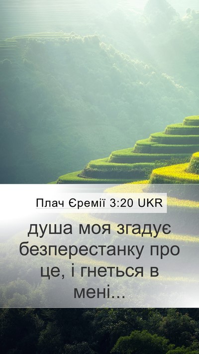 Плач Єремії 3:20 UKR Bible Verse Image