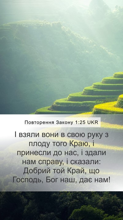 Повторення Закону 1:25 UKR Bible Verse Image