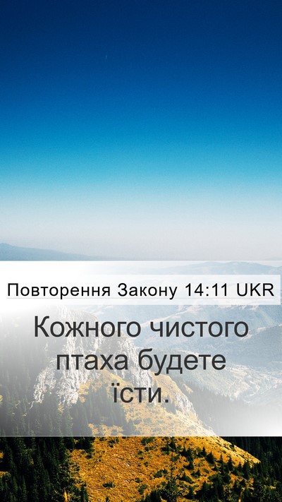 Повторення Закону 14:11 UKR Mobile Phone Wallpaper - Кожного чистого птаха - Mobile Bible Verse Wallpaper