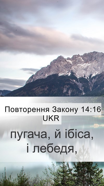 Повторення Закону 14:16 UKR Mobile Phone Wallpaper - пугача, й ібіса, і - Mobile Bible Verse Wallpaper