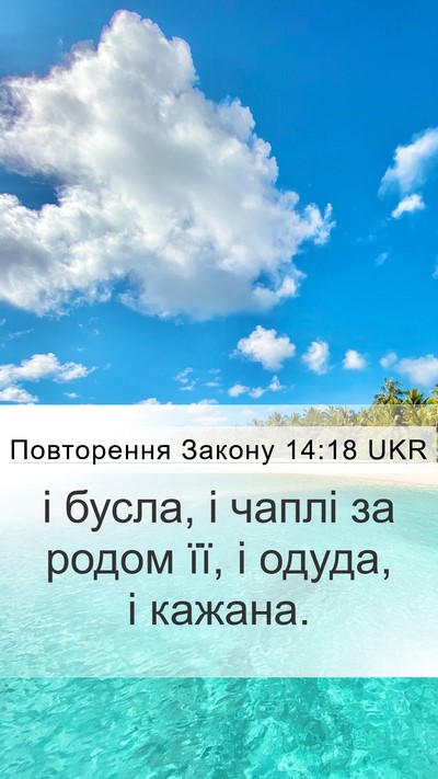 Повторення Закону 14:18 UKR Mobile Phone Wallpaper - і бусла, і чаплі за родом - Mobile Bible Verse Wallpaper