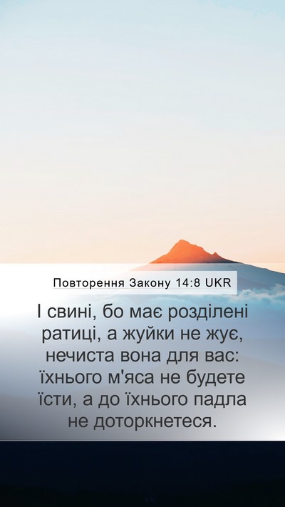 Повторення Закону 14:8 UKR Bible Verse Image