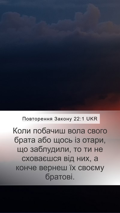 Повторення Закону 22:1 UKR Mobile Phone Wallpaper - Коли побачиш вола свого - Mobile Bible Verse Wallpaper